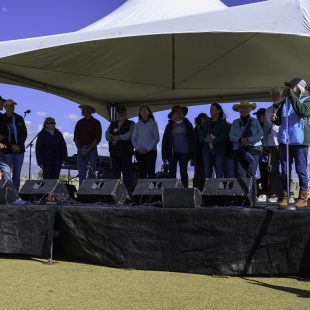 The festival volunteers who made the Desert Bluegrass Festival run.
